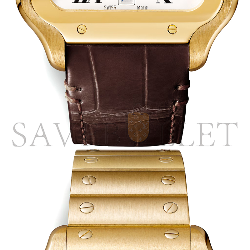 CARTIER SANTOS DE CARTIER WATCH WGSA0029